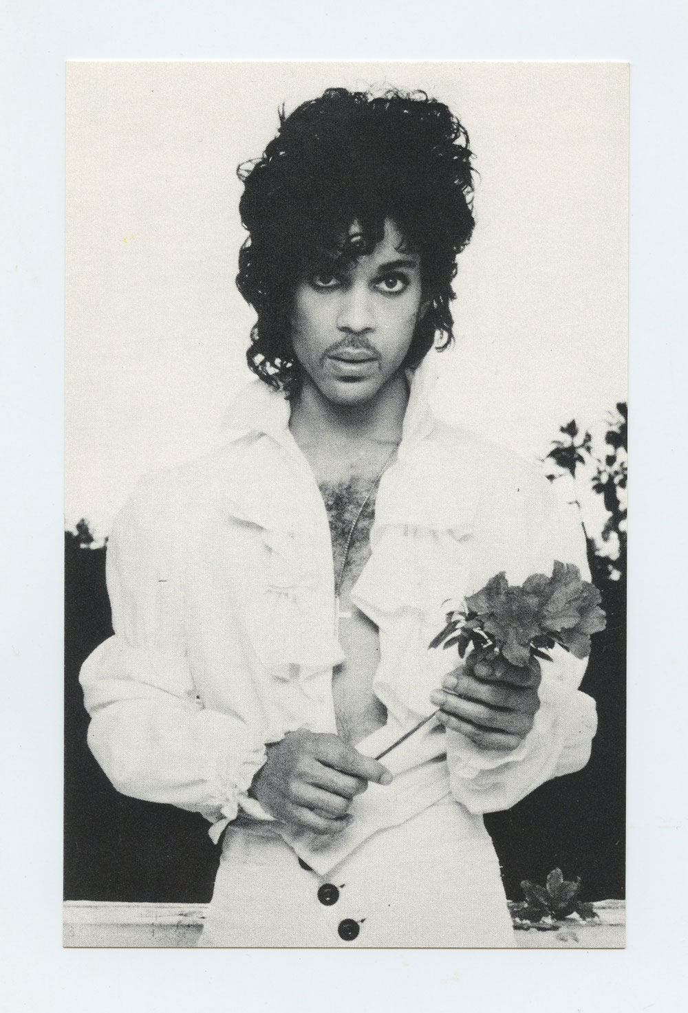 Prince Postcard 1984 PRN Production Vintage