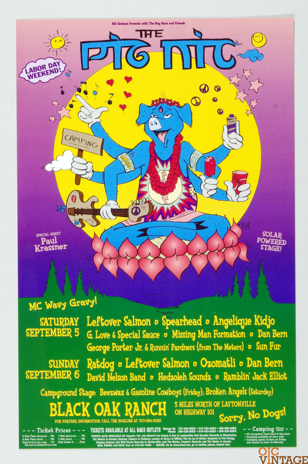 Pic Nic Annual Rock 'N Roll Poster 1988 Sep 3 Leftover Salmon Spearhead and more