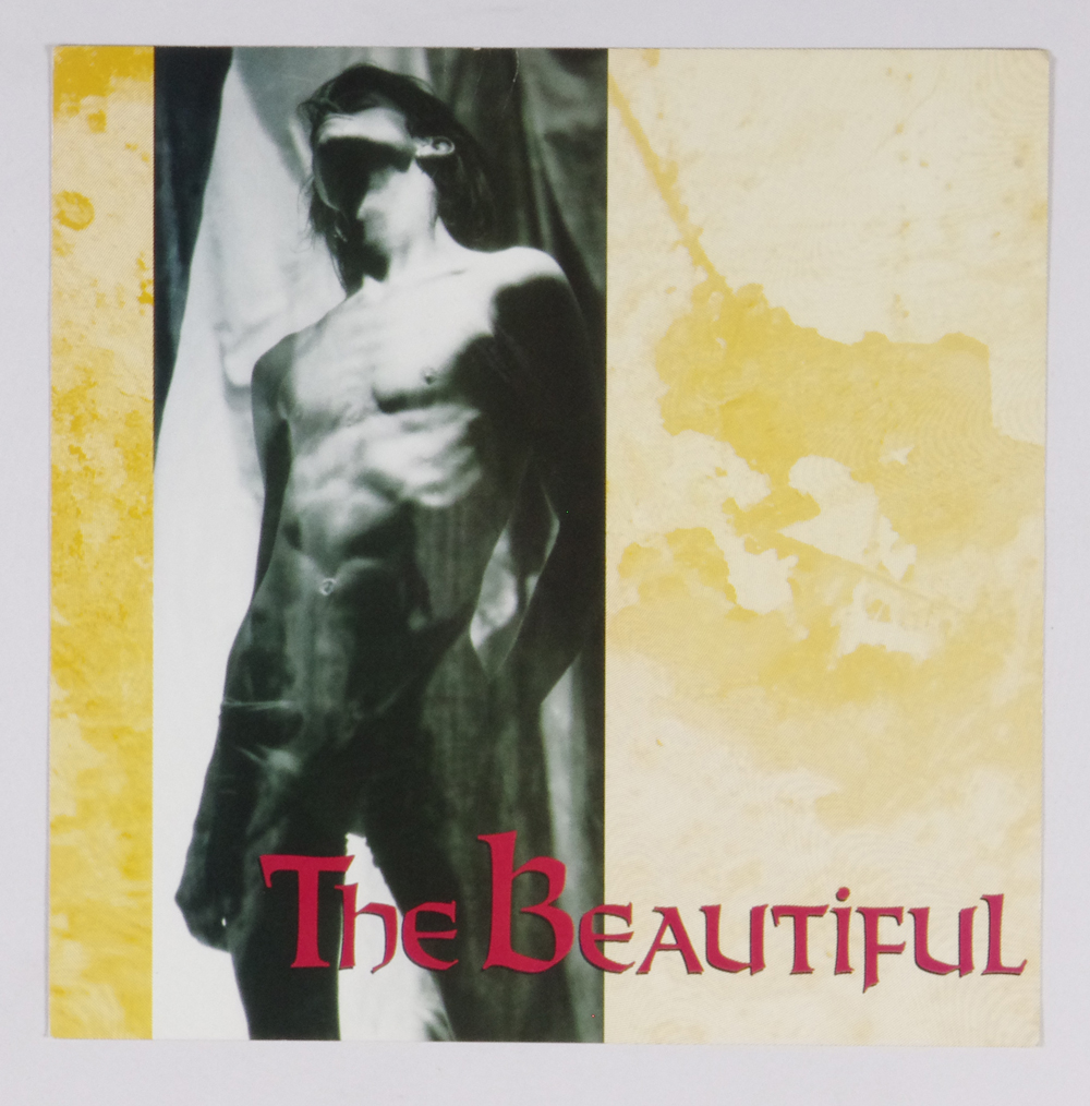 The Beautiful Poster Flat 1990 Self Titled Album Promotion 12 x 12